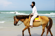 Grand Turk Horseback Tour cruise excursion